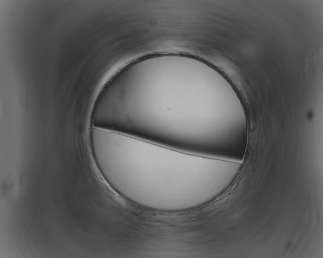 X0000097761191200803070829