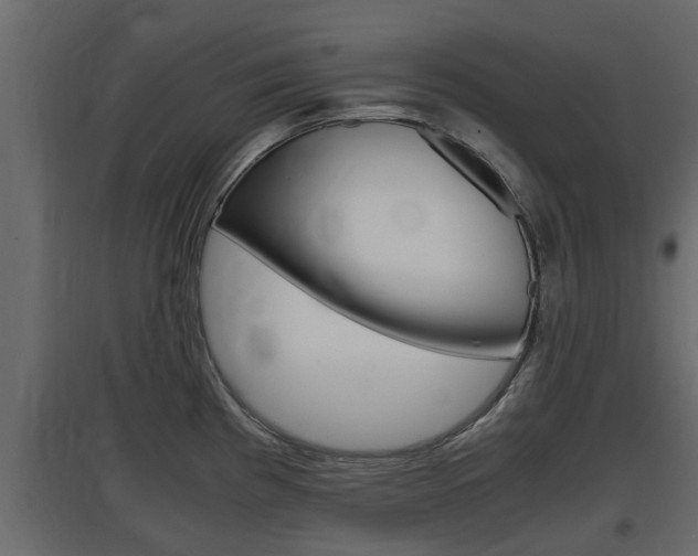 X0000097761193200803070829