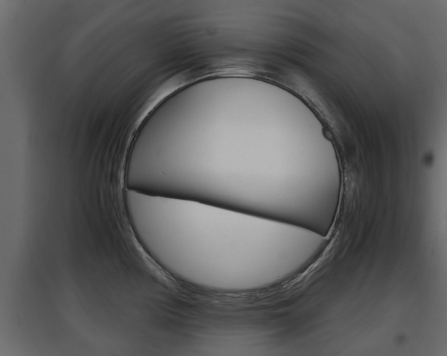 X0000097761194200803070829