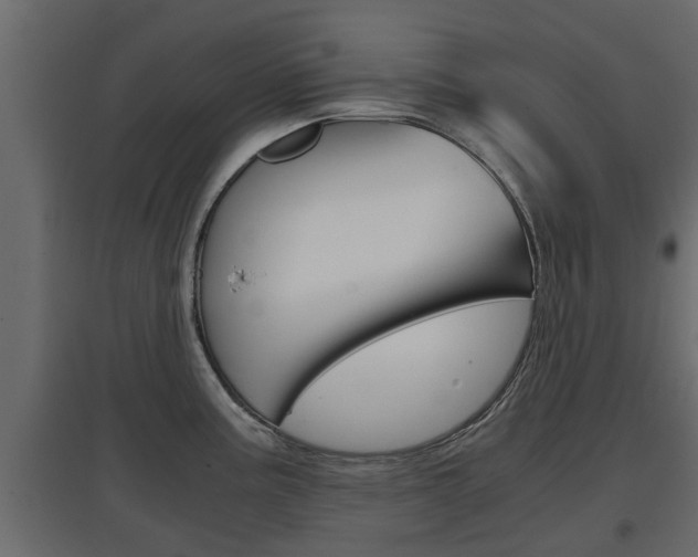 X0000097761195200803070829