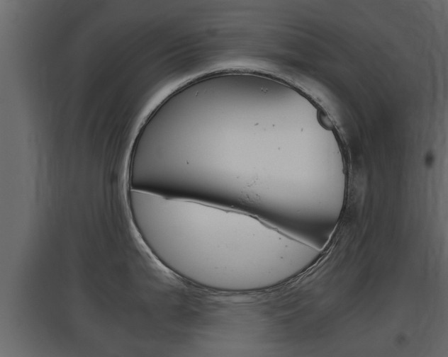 X0000097761199200803070829