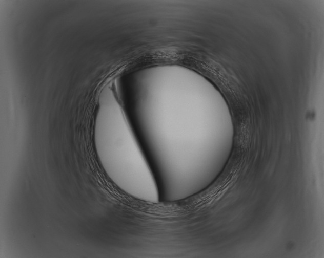 X0000097761201200803070829