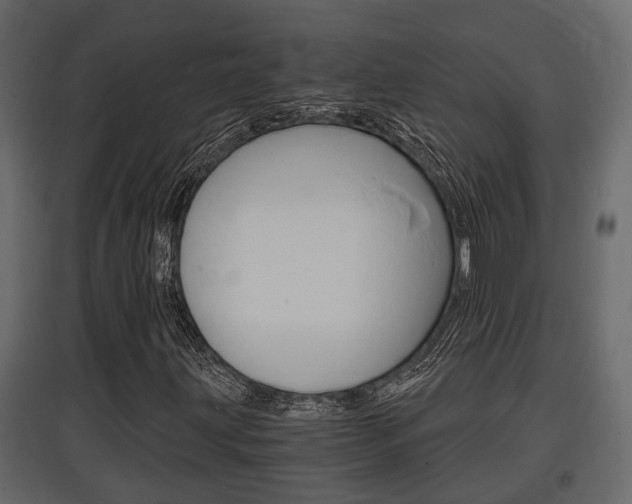 X0000097761203200803070829