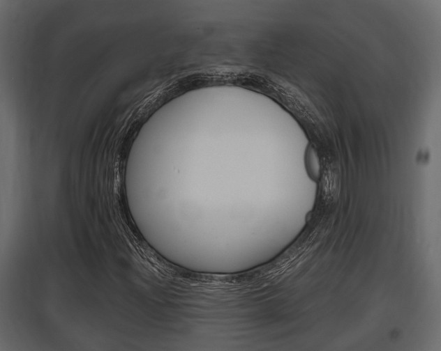 X0000097761204200803070829