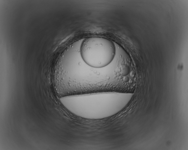 X0000097761205200803070829