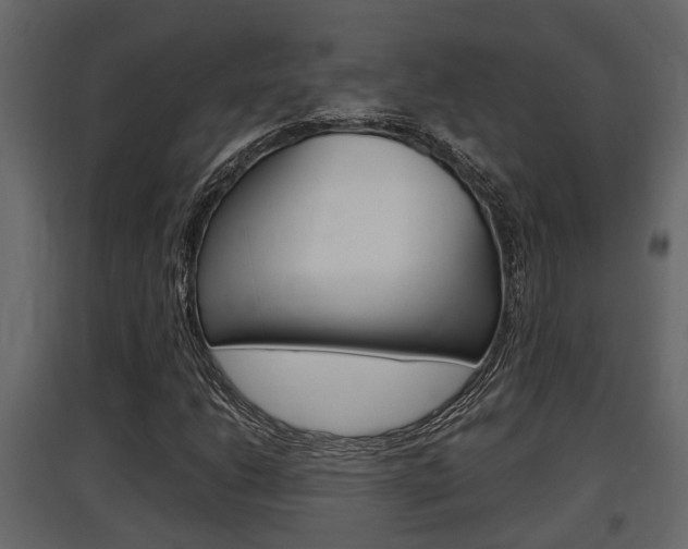 X0000097761206200803070829