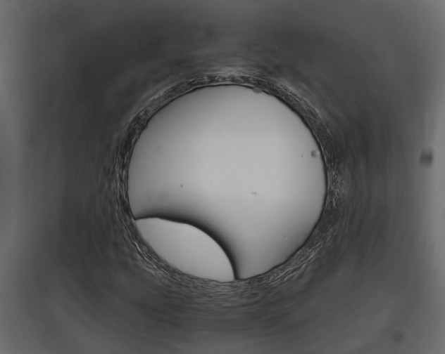 X0000097761207200803070829
