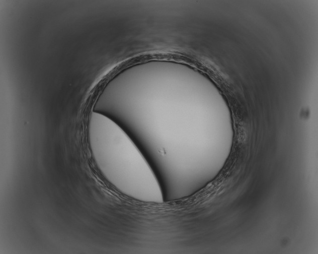 X0000097761208200803070829