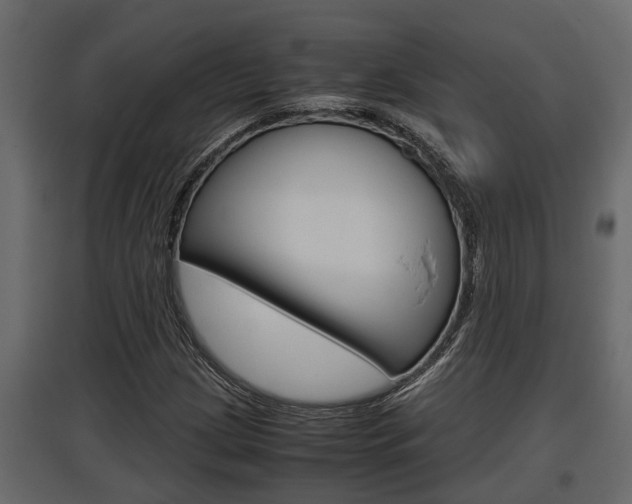 X0000097761209200803070829