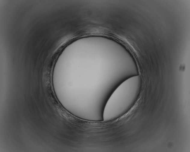 X0000097761211200803070829