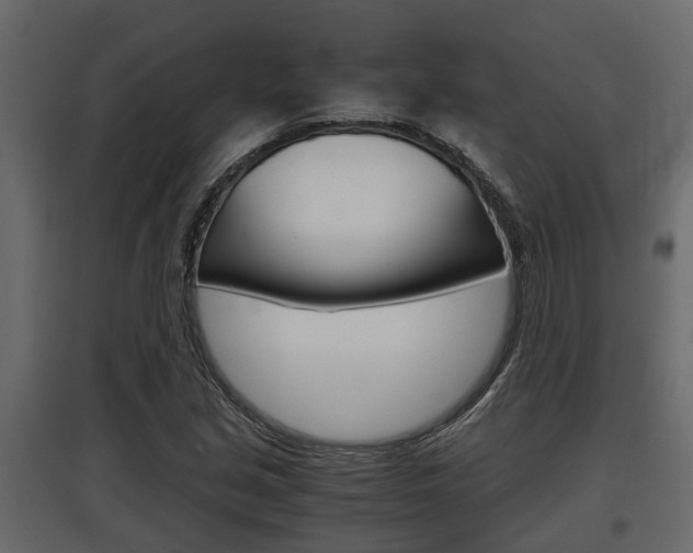 X0000097761213200803070829
