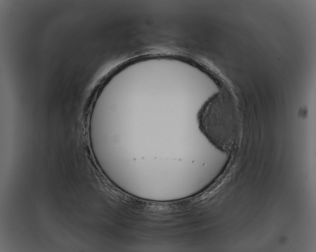 X0000097761215200803070829