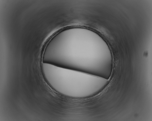X0000097761216200803070829