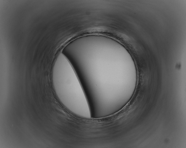 X0000097761217200803070829