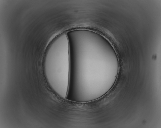 X0000097761218200803070829
