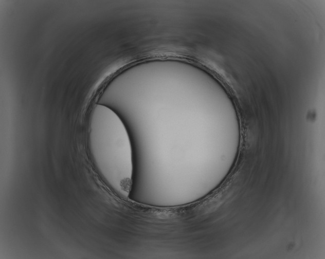 X0000097761219200803070829