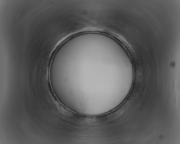 X0000097761220200803070829
