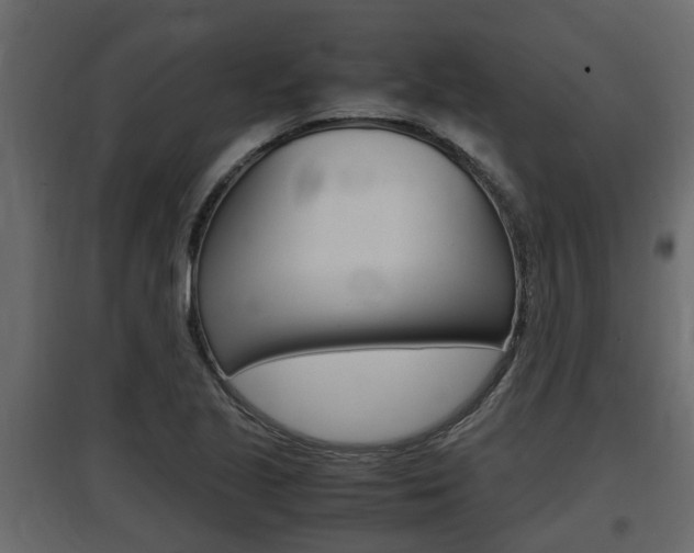X0000097761221200803070829