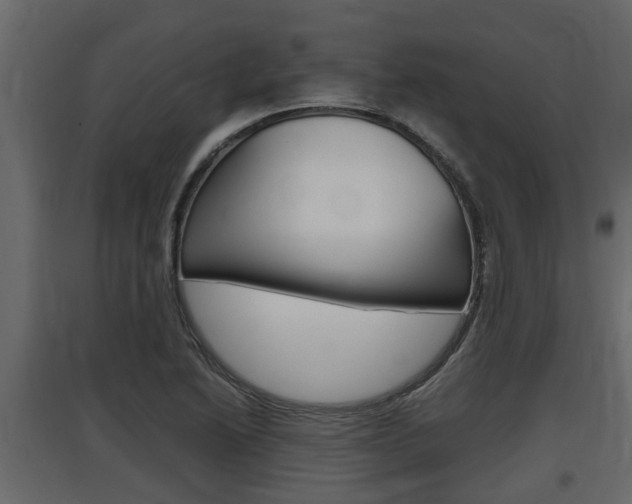 X0000097761222200803070829