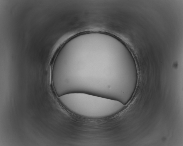 X0000097761223200803070829
