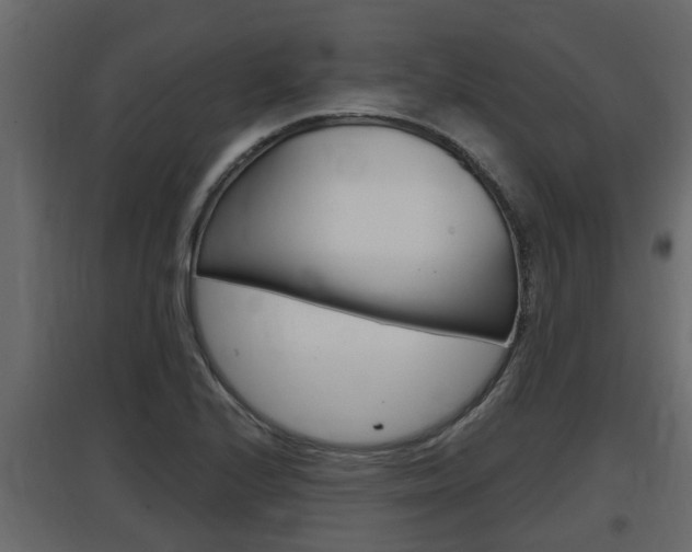 X0000097761224200803070829