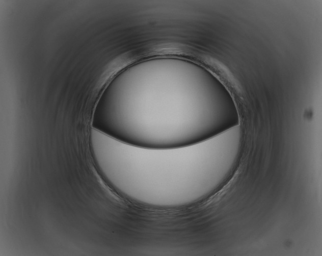 X0000097761225200803070829