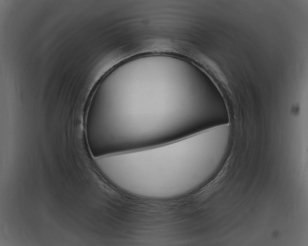 X0000097761226200803070829