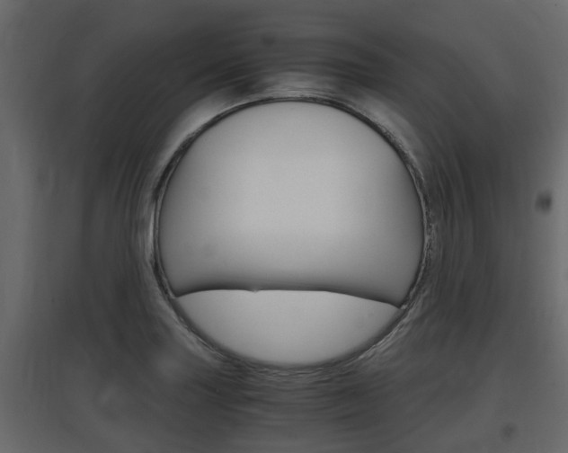X0000097761227200803070829