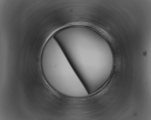 X0000097761228200803070829