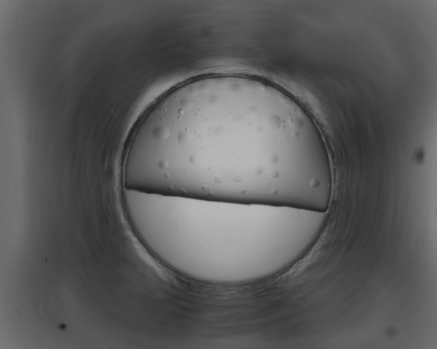 X0000097761231200803070829