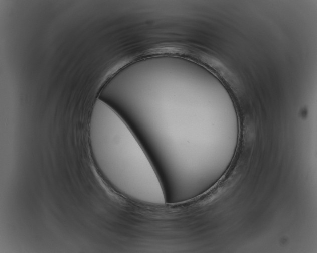 X0000097761233200803070829