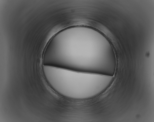 X0000097761234200803070829
