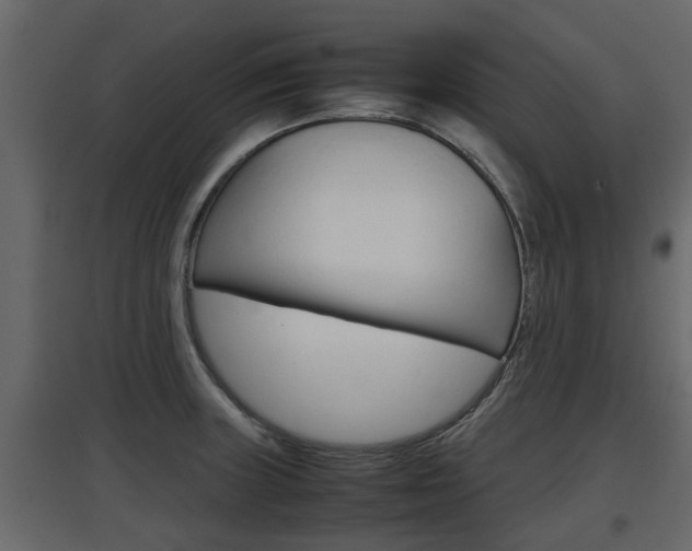 X0000097761235200803070829