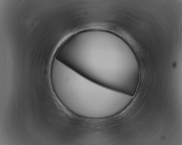 X0000097761240200803070829