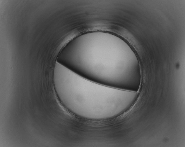 X0000097761241200803070829