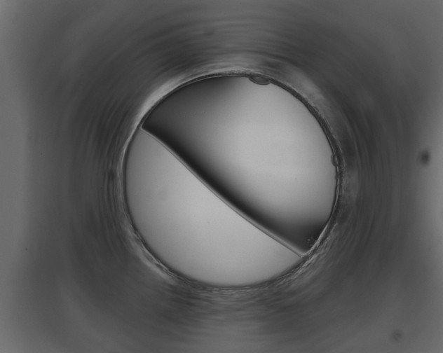 X0000097761242200803070829