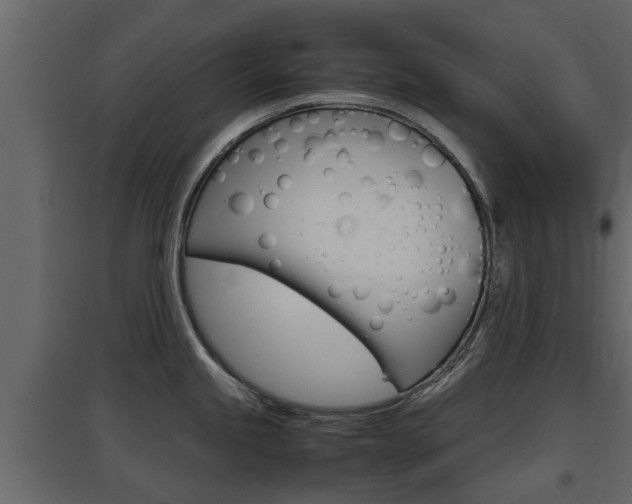 X0000097761245200803070829