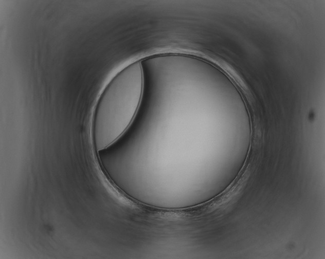 X0000097761246200803070829