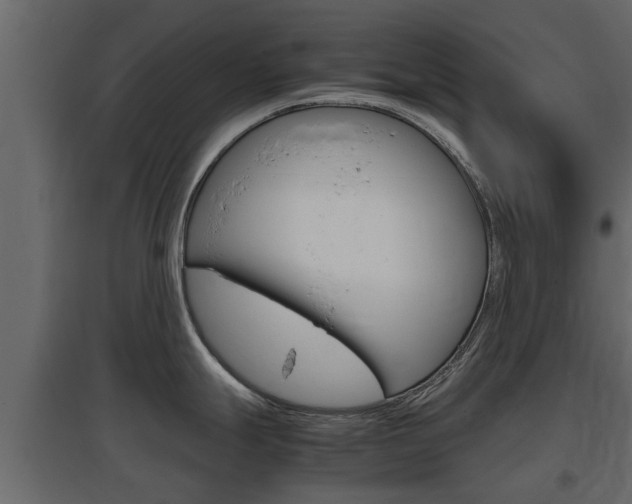 X0000097761247200803070829