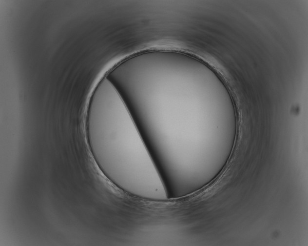 X0000097761248200803070829