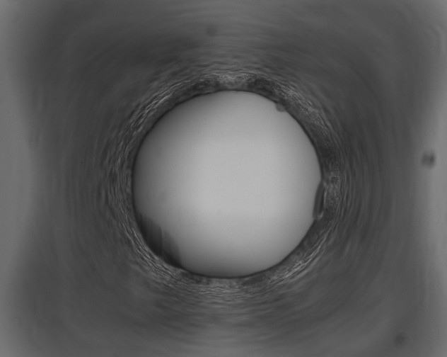 X0000097761249200803070829
