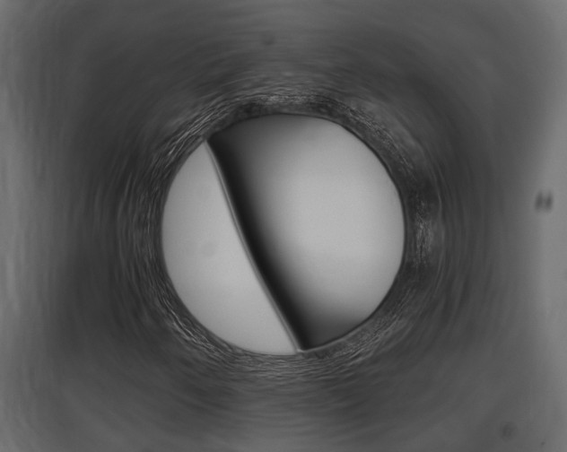 X0000097761250200803070829