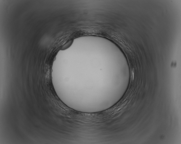 X0000097761251200803070829