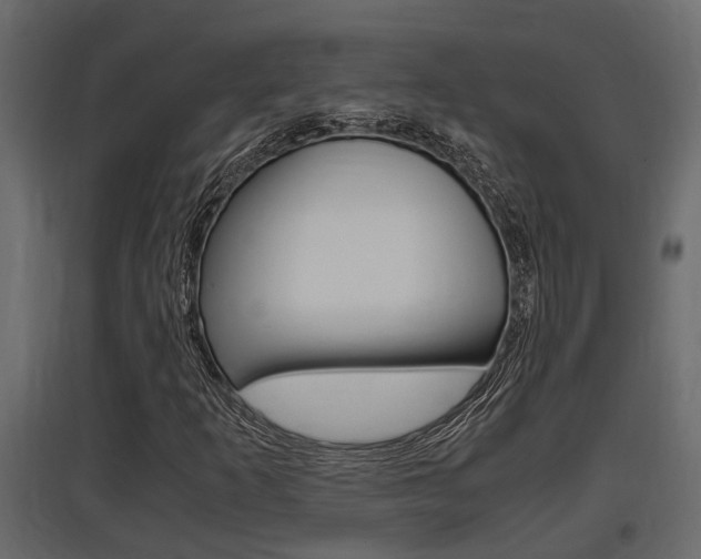 X0000097761253200803070829