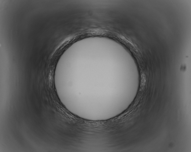 X0000097761254200803070829