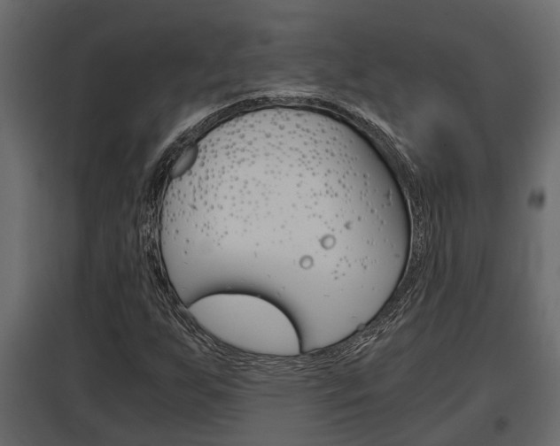 X0000097761255200803070829