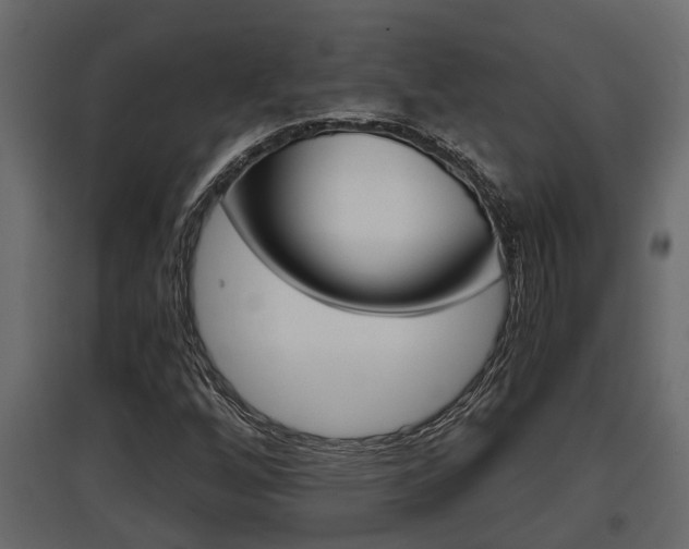 X0000097761256200803070829