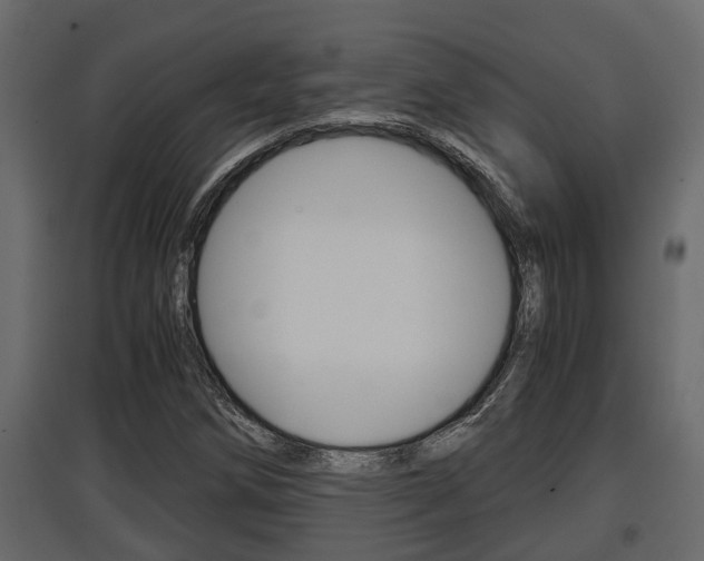 X0000097761258200803070829
