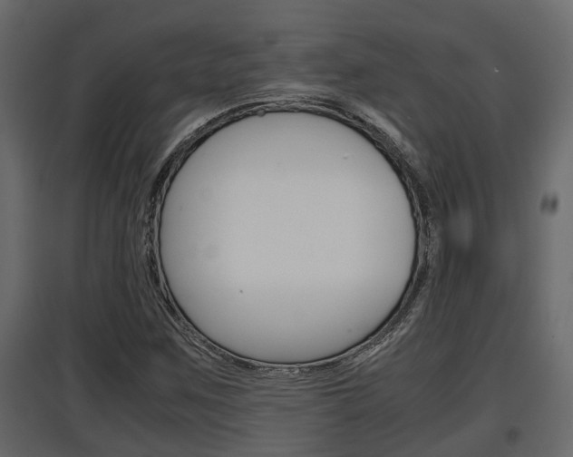 X0000097761259200803070829