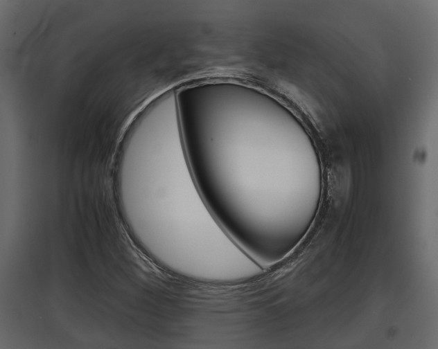 X0000097761260200803070828
